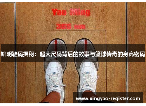 姚明鞋码揭秘：超大尺码背后的故事与篮球传奇的身高密码